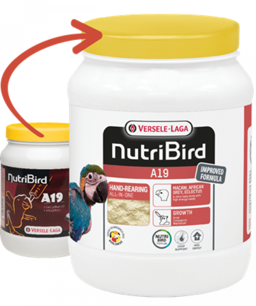 VERSELE LAGA - Nutri Bird A19 فيرسل لاقا - نوتري بيرد