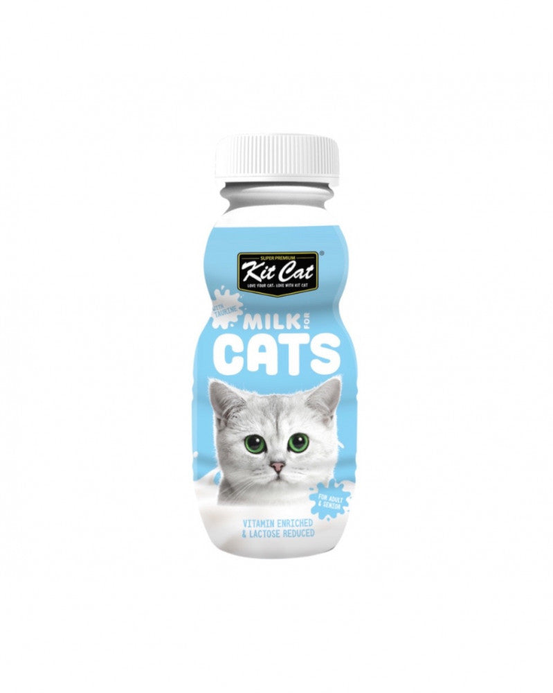 كت كات حليب للقطط 250ml