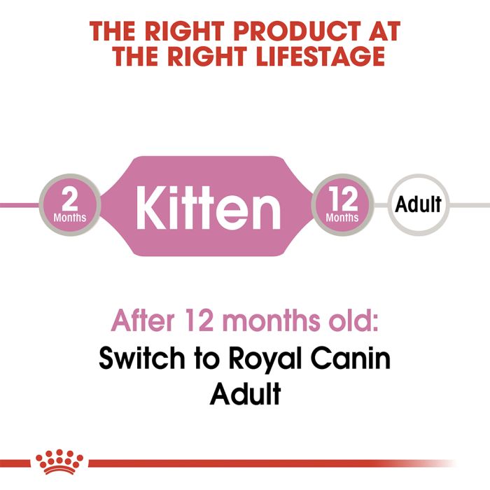 Royal Canin - Kitten Wet Food Pouch Up To 12 Months - 85 g - رويال كانين -  أظرف طعام رطب للقطط الصغيرة