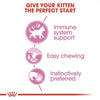 Royal Canin - Kitten Wet Food Pouch Up To 12 Months - 85 g - رويال كانين -  أظرف طعام رطب للقطط الصغيرة